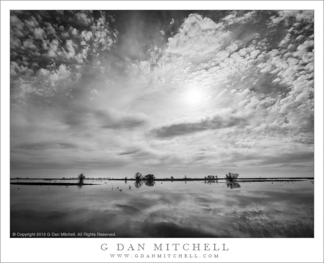 Marsh and Sky