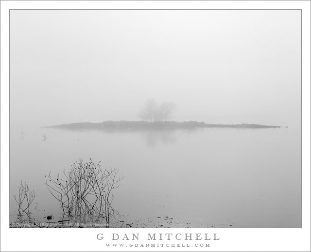 Winter Fog, Water, Island