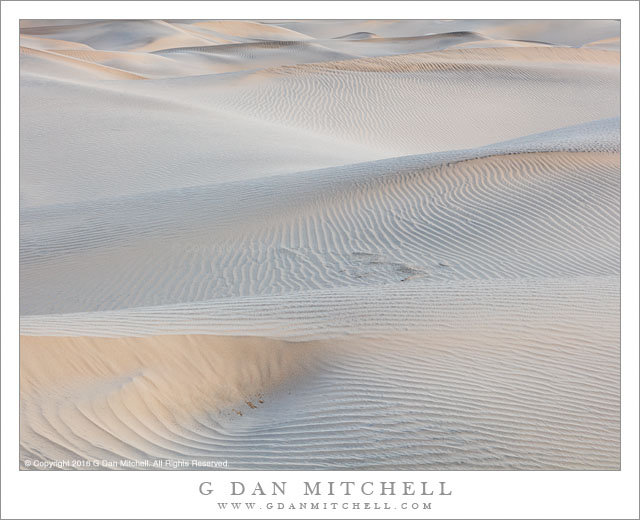 Sand Dunes, First Light