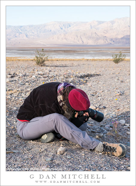 Macro Photographer, Death Valley