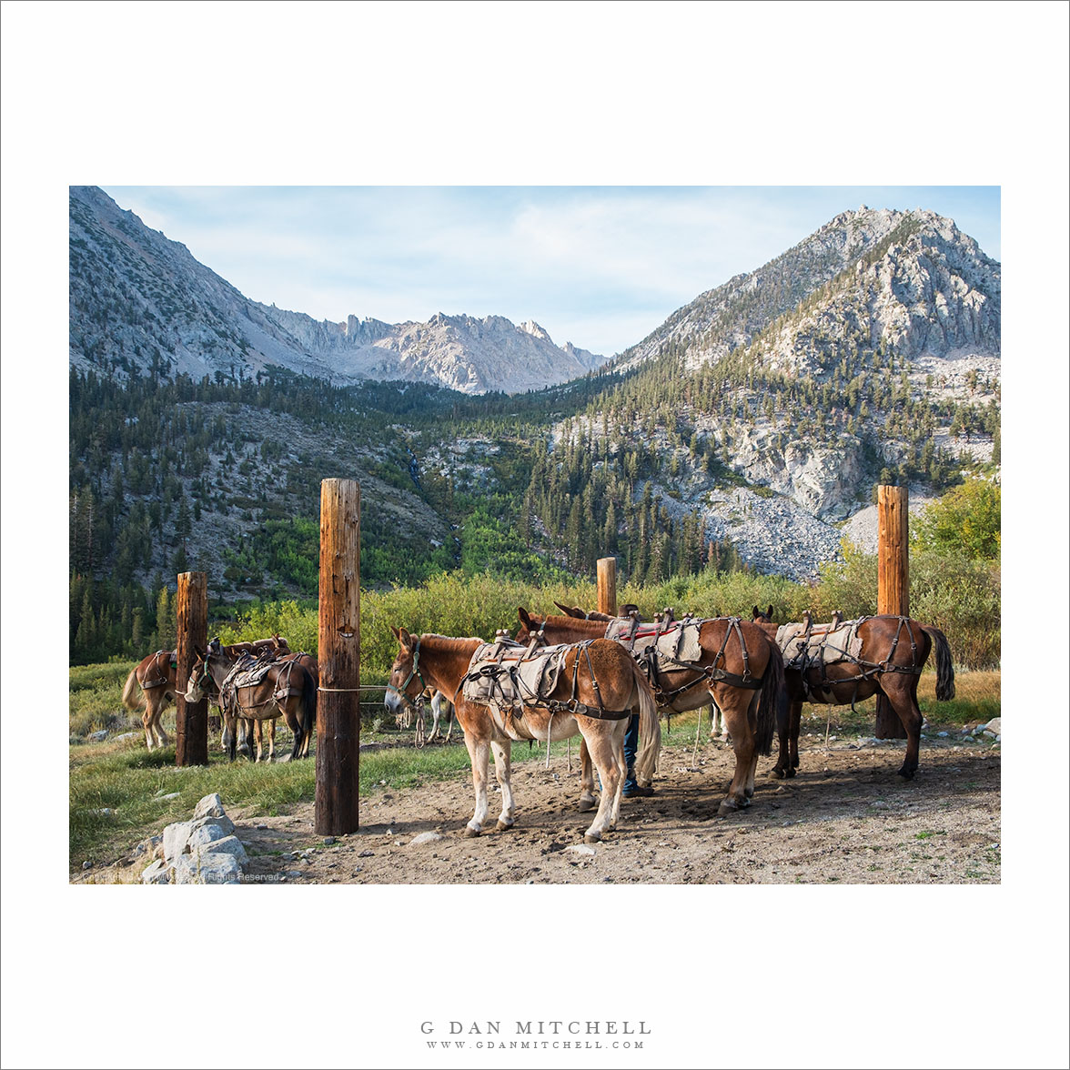 Back Country Taxi Service