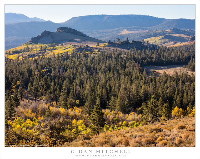 Early Fall Aspen Color