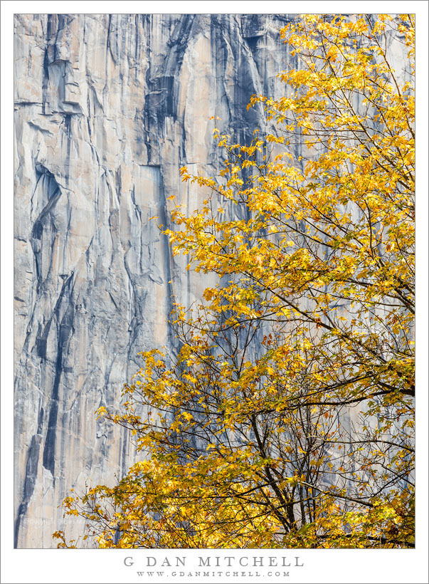 Autumn Color, Granite Cliff