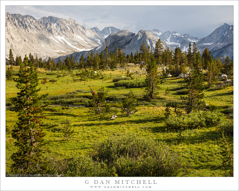 G Dan Mitchell Photograph: High Country Meadow, Evening Light | G Dan