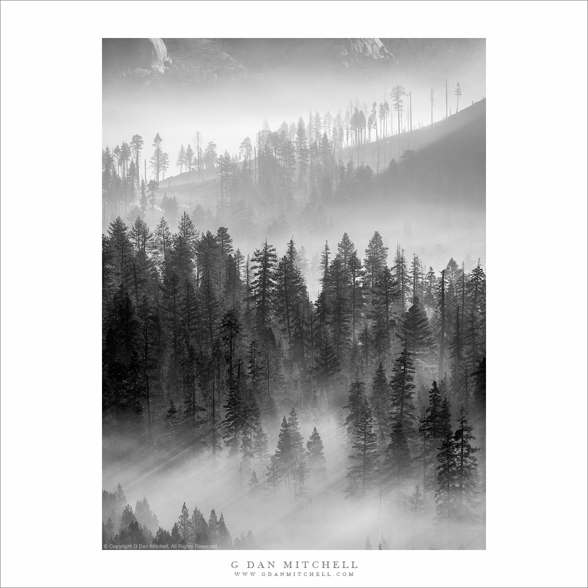 Morning Light On Wildfire Smoke