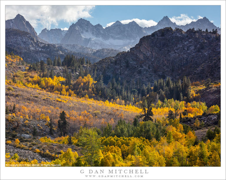 Sierra Nevada Fall Color | G Dan Mitchell Photography