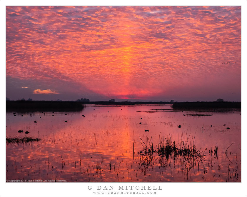 Wetland Dawn Clouds