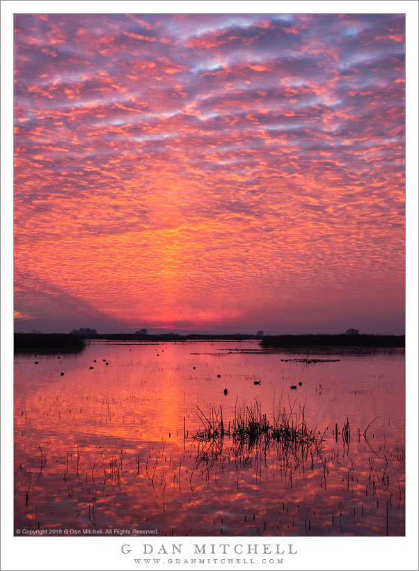 Dawn Clouds, Reflection