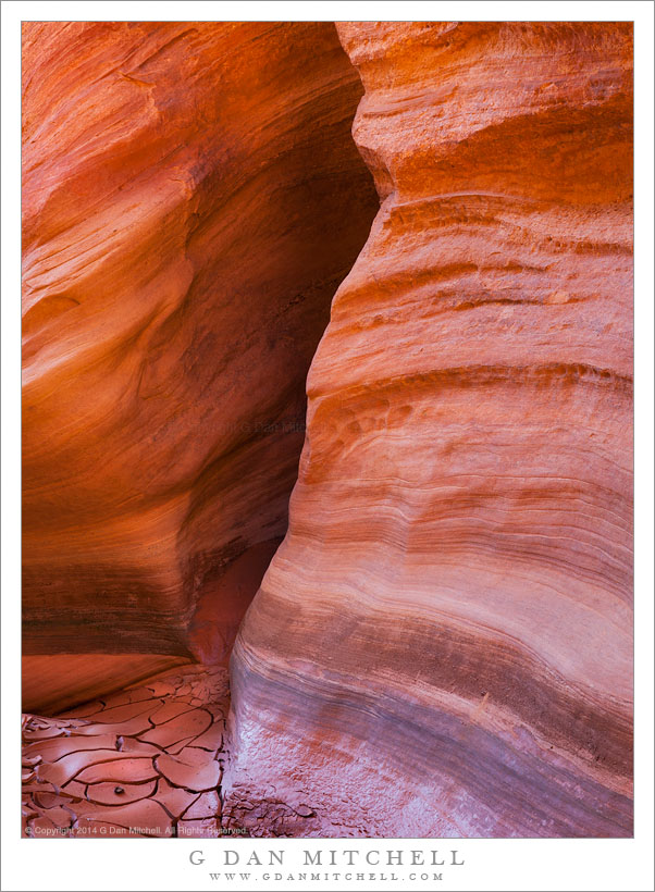 Sandstone and Canyon Mud