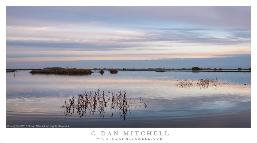 Pond, Evening Sky