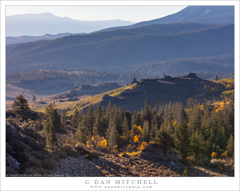 Autumn, Eastern California Mountains