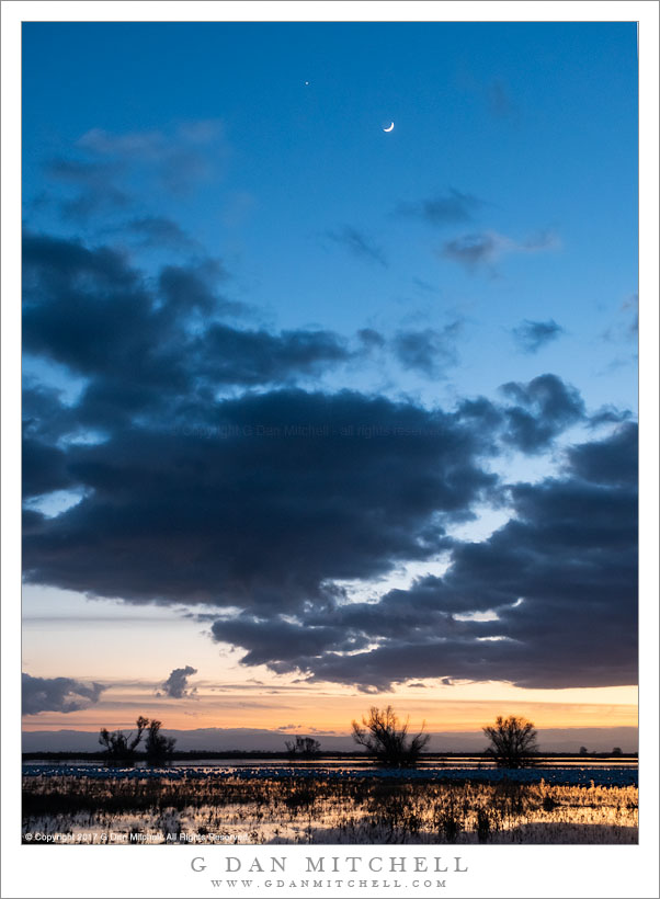 Wetlands, Evening Clouds, Moon