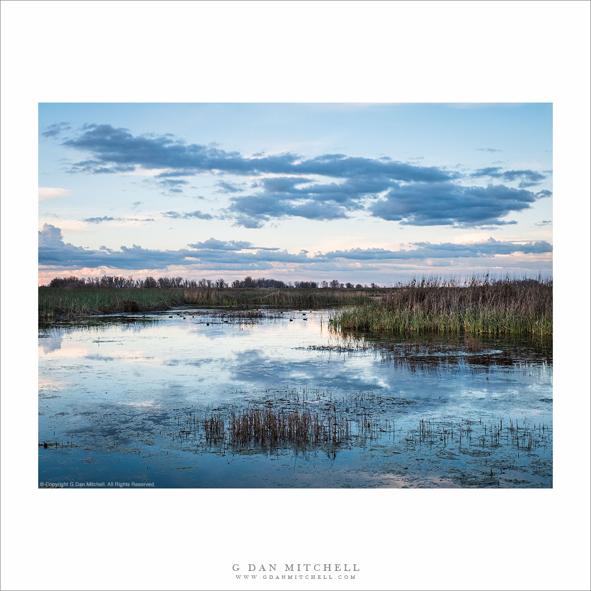 Evening Clouds, Winter Wetlands