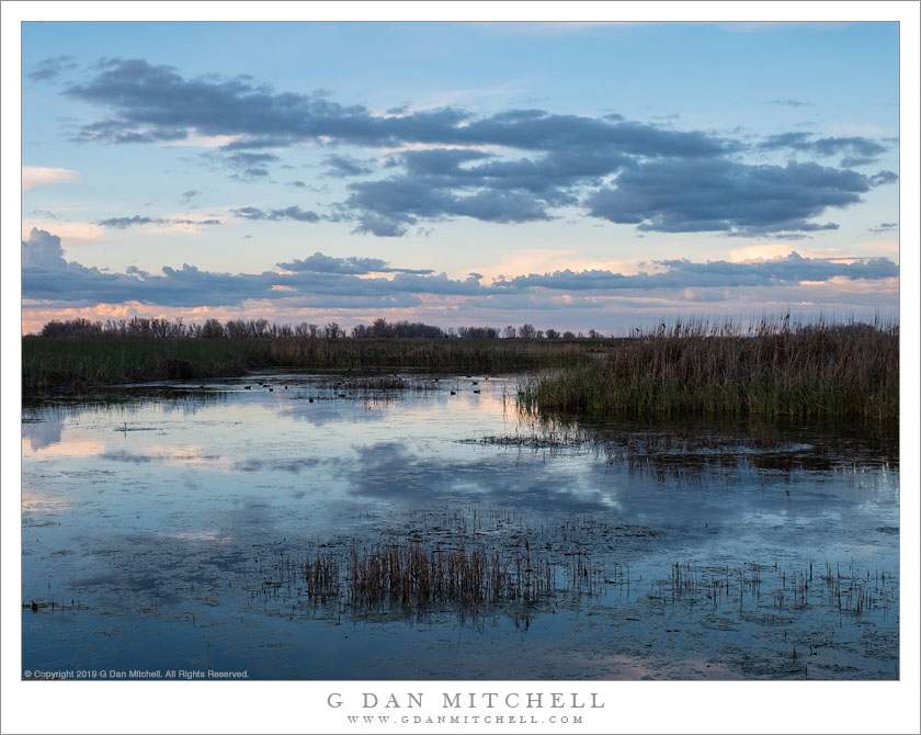 Evening Clouds, Winter Wetlands