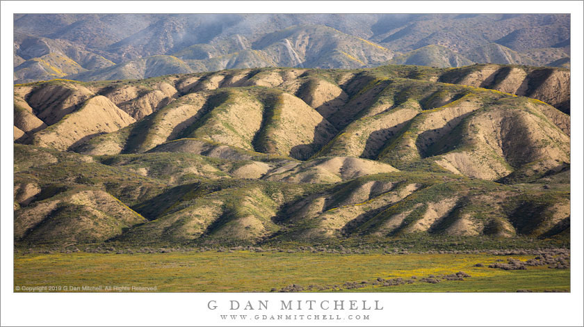 Morning, Temblor Range