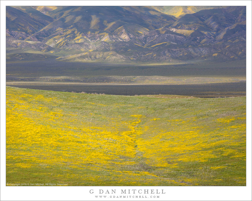 Temblor Range, Carrizo Plain, Spring