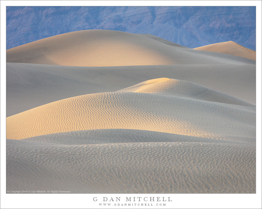 Dune Patterns, Evening