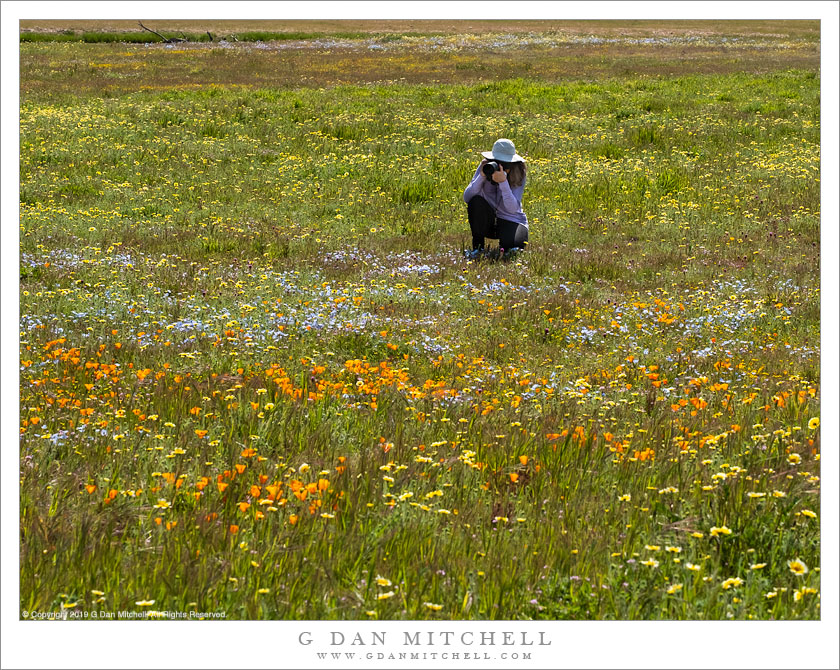 PattyPhotographingFlowersShellCreek20190401