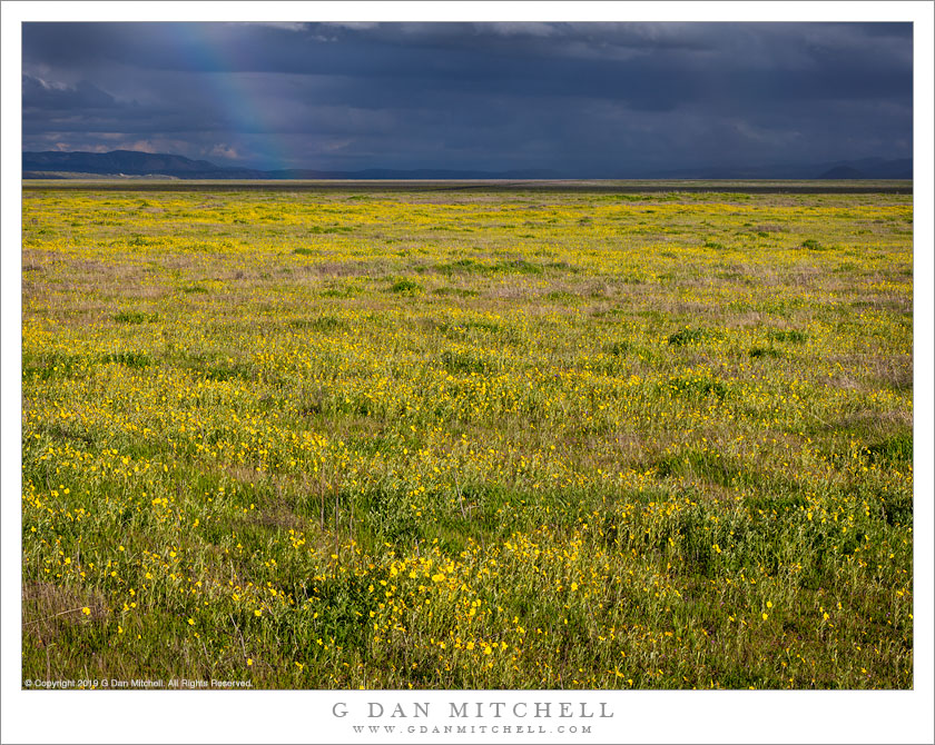 Spring Meadow, Passing Storm