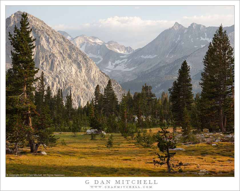 Evening Light, Subalpine Meadow and Peaks