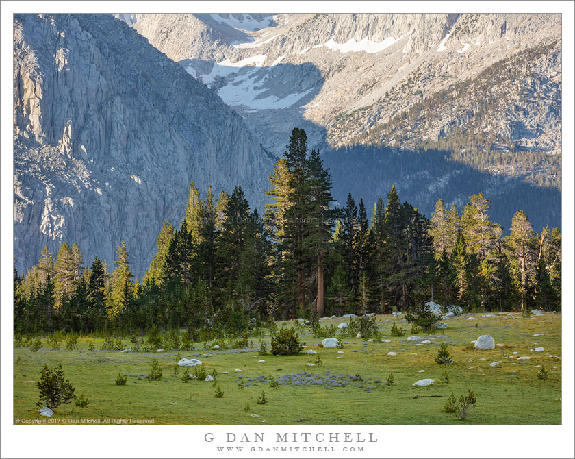 Meadow, Forest, and Mountains