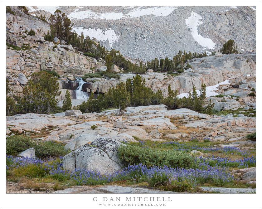 Waterfall And Late-Season Lupine