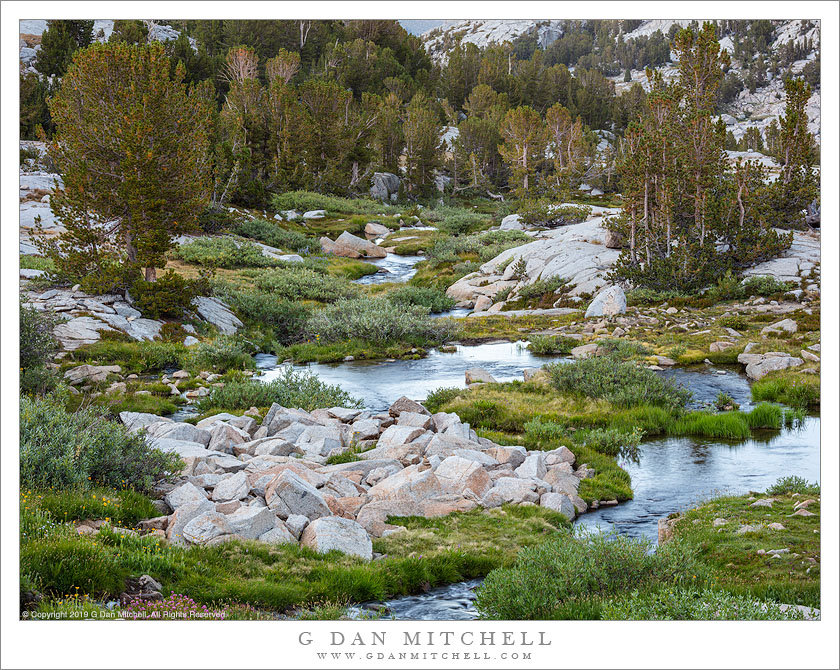 Stream And Meadow