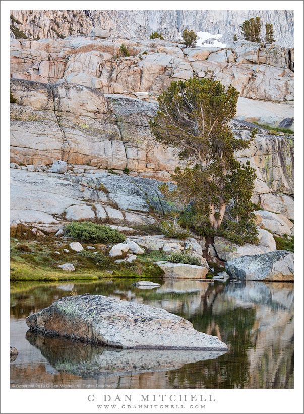 Tree, Lake, Granite Bench