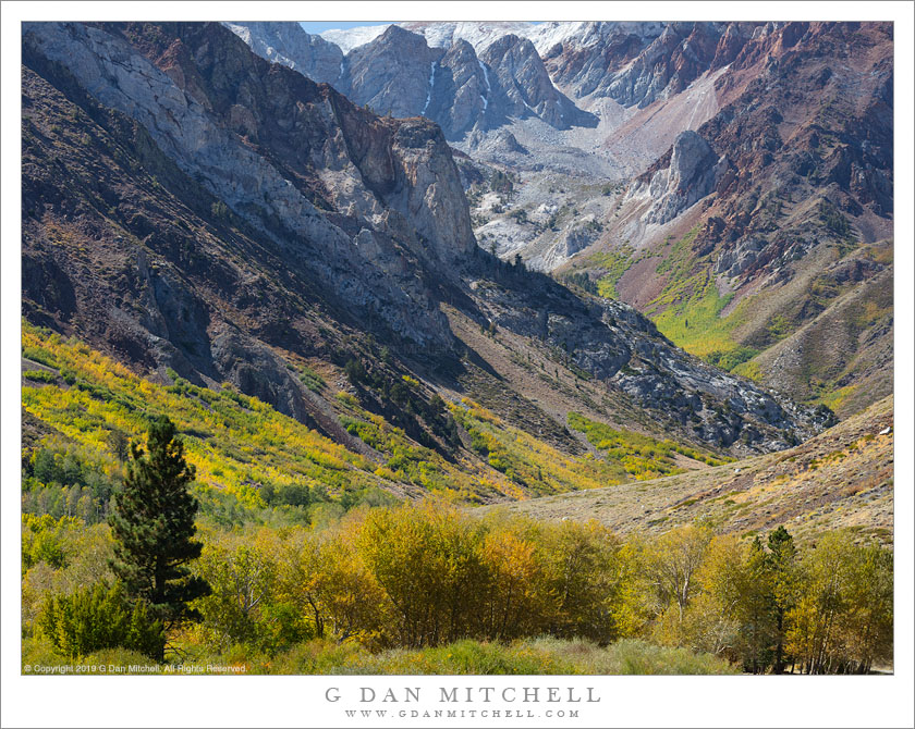 Autumn, Eastern Sierra Valley