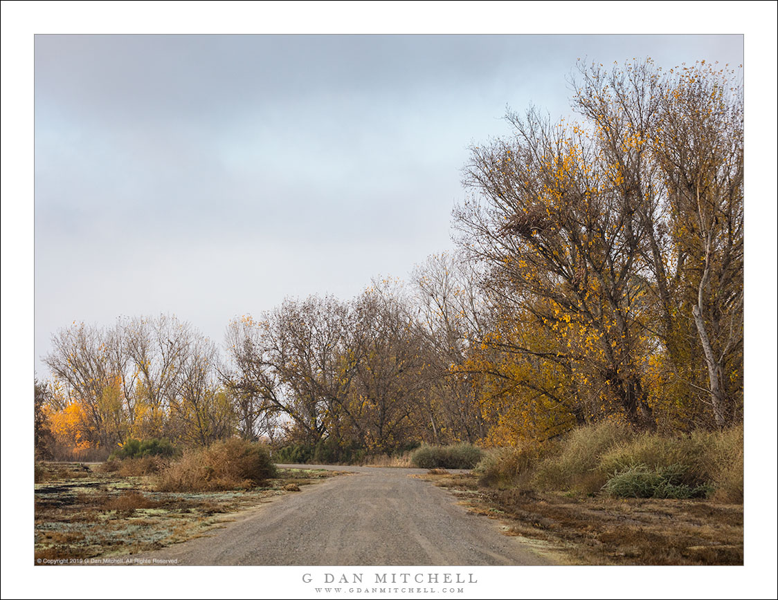 Autumn Road