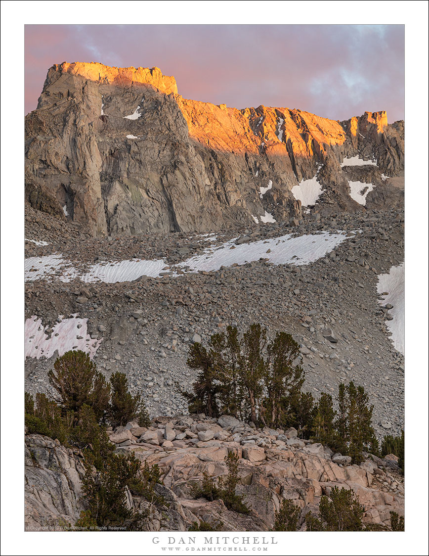 Last Light, Moraine, Trees