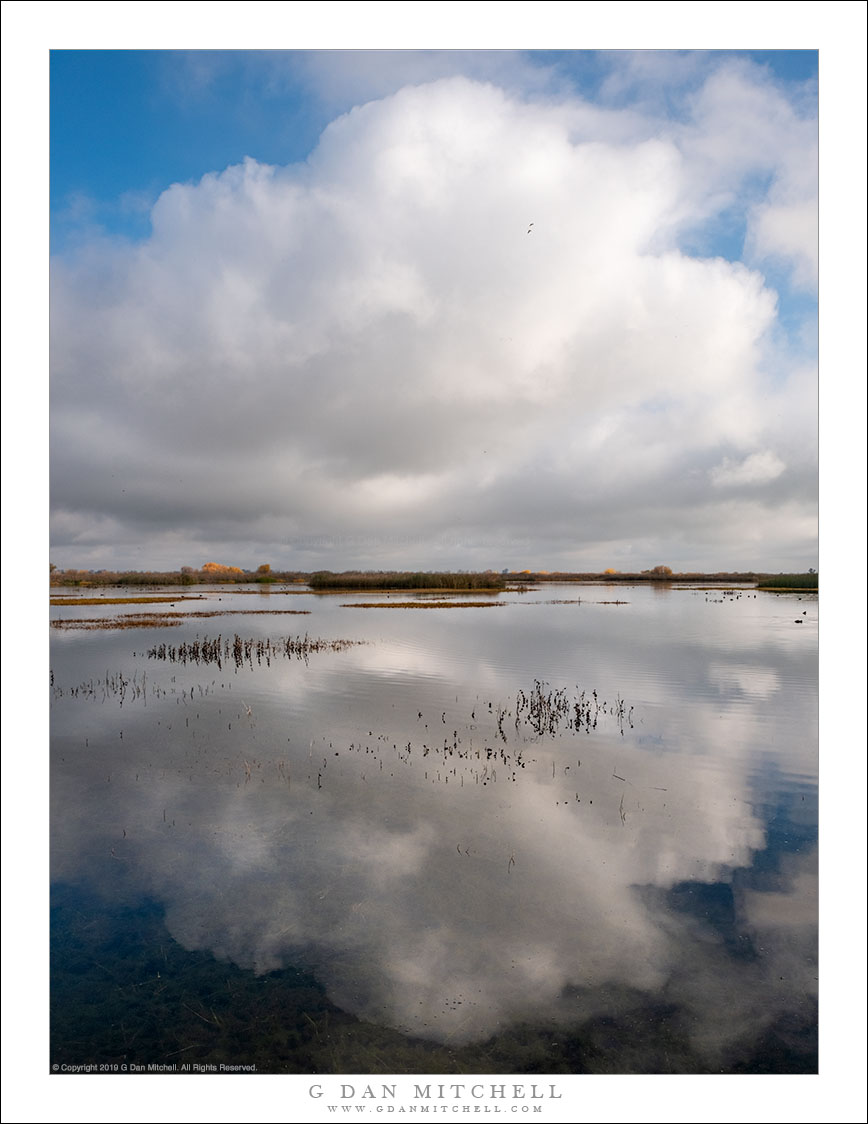 Pond, Clouds