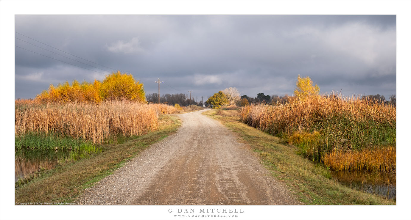 The Levee Road