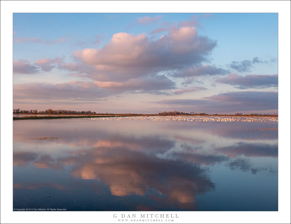 Wetlands Evening