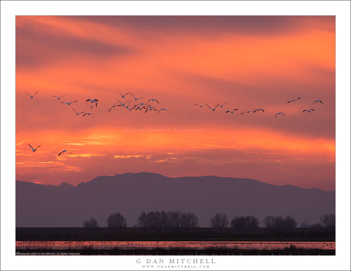 Winter Sunset