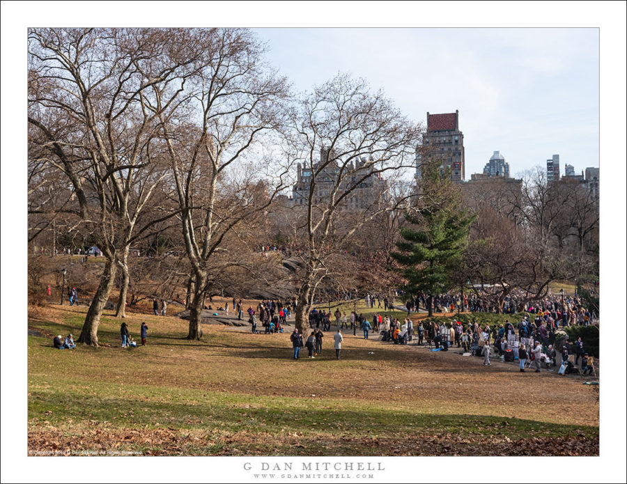 Christmas Day, Central Park LaptrinhX / News