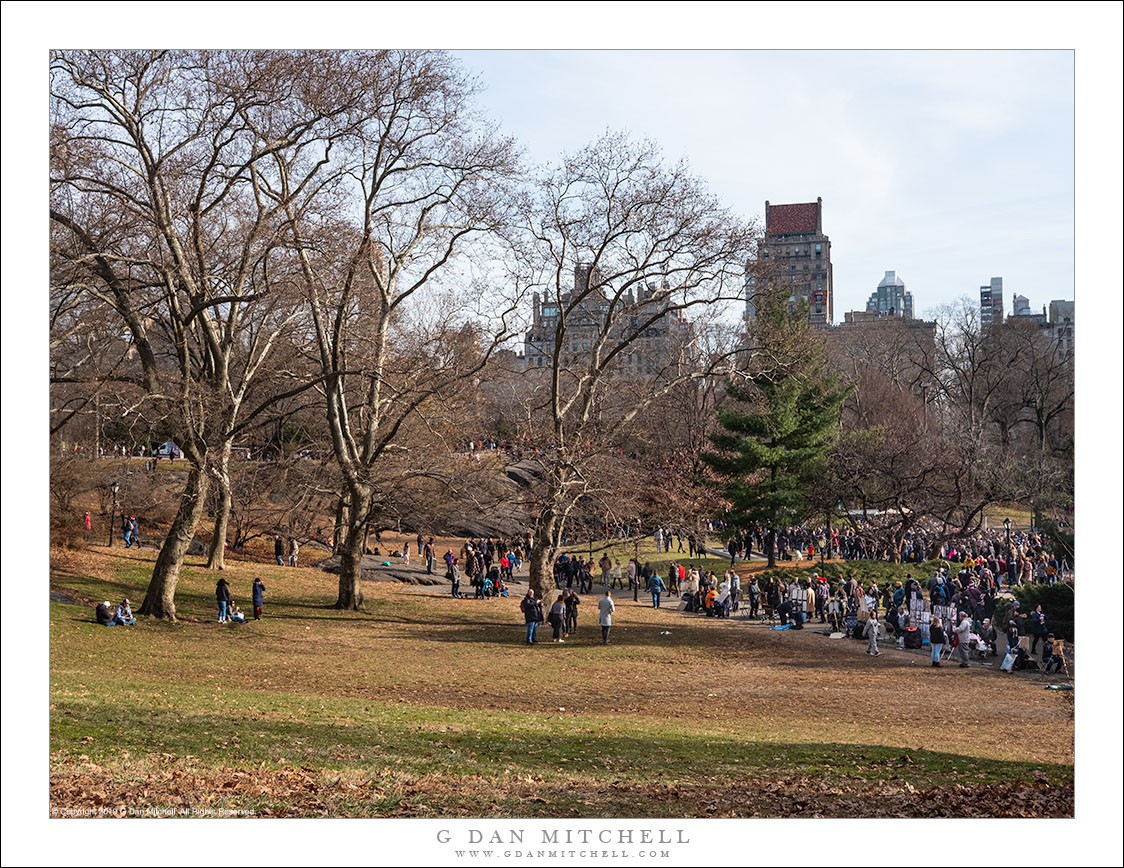 Christmas Day, Central Park