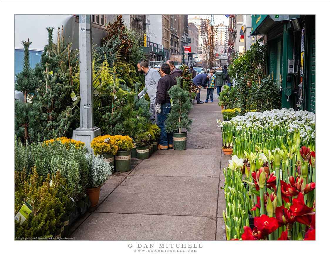 Flower District, Manhattan