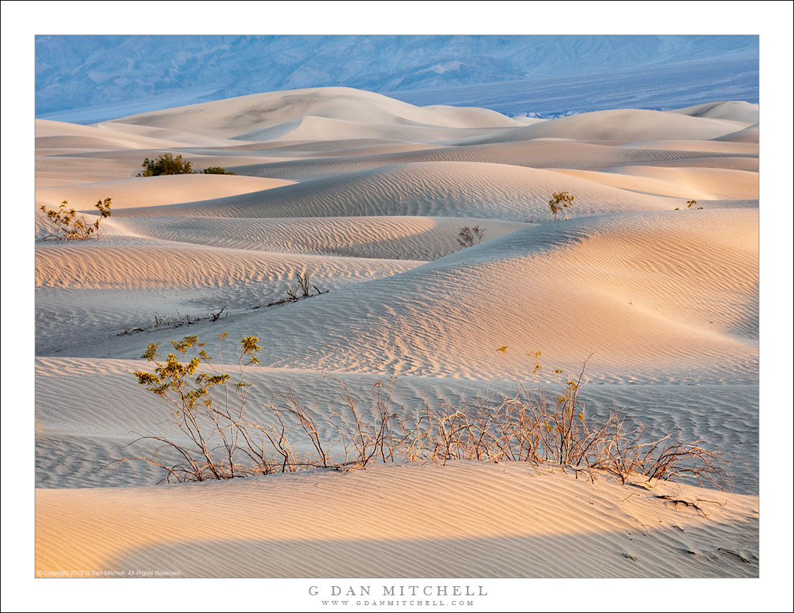 Morning, Dune Shadows | G Dan Mitchell Photography