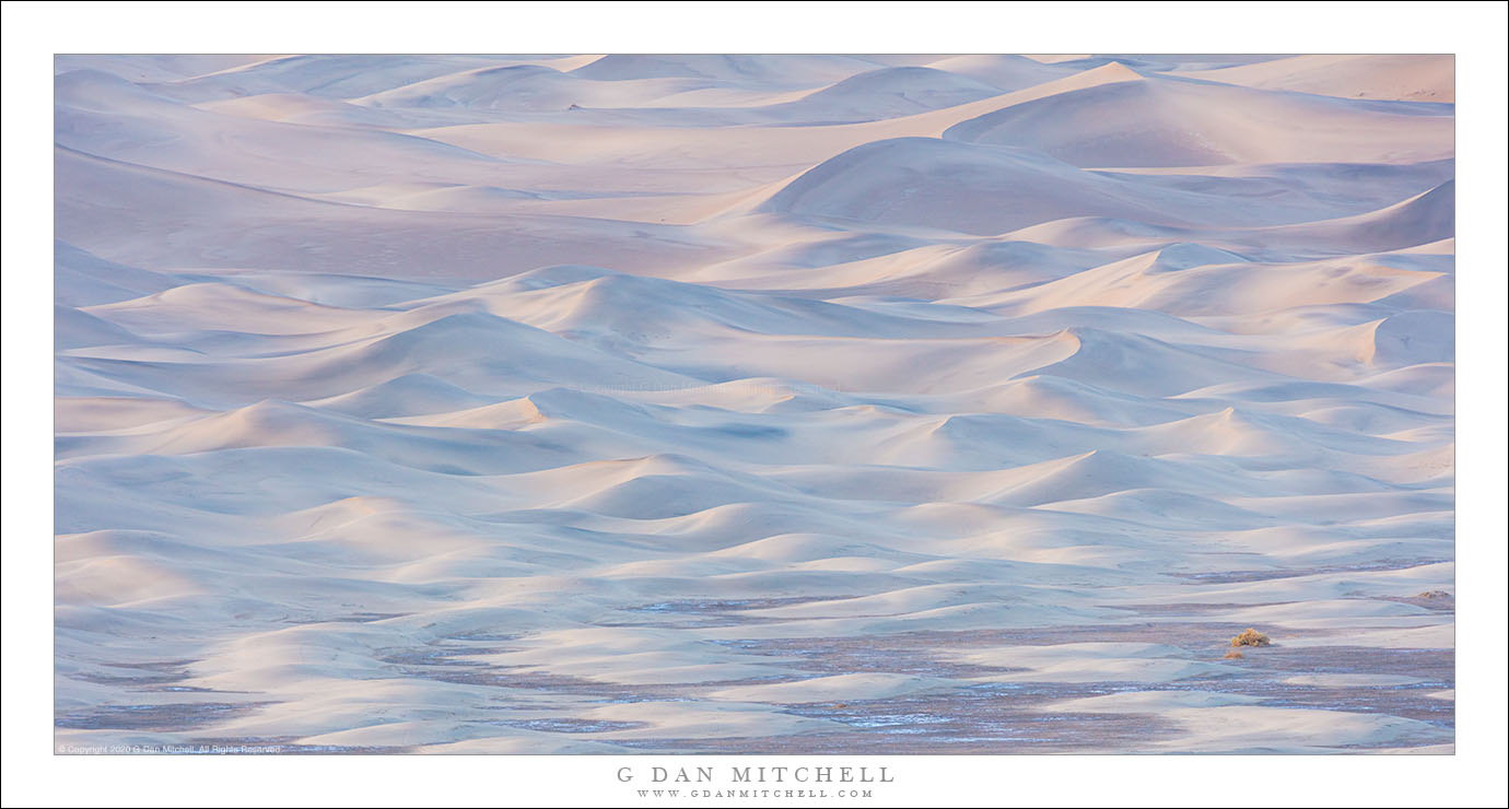 At The Edge Of The Dunes, Evening