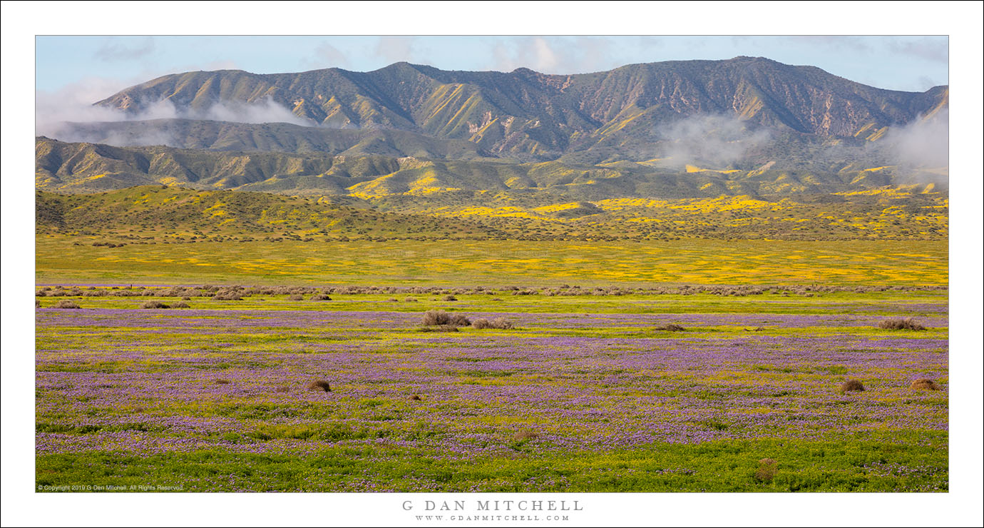 Spring Bloom, Valley and Mountains