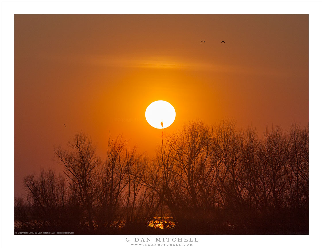 Sunset Perch