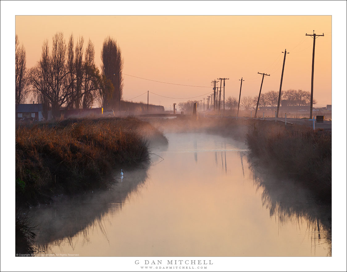 Dawn Fog, Central Valley