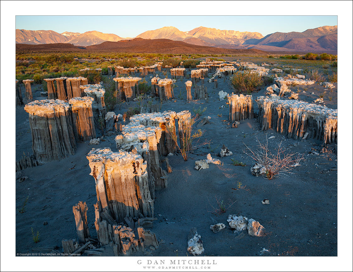 Tufa Field, Dawn