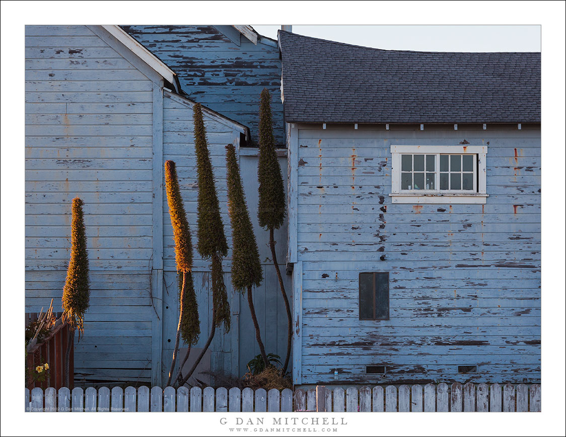 Blue Building, Evening