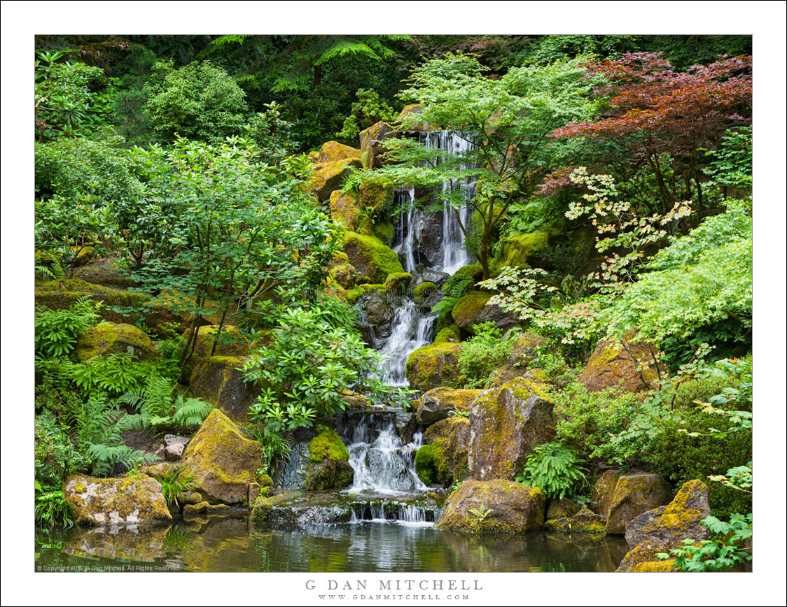 Waterfall and Pond, Japanese Garden