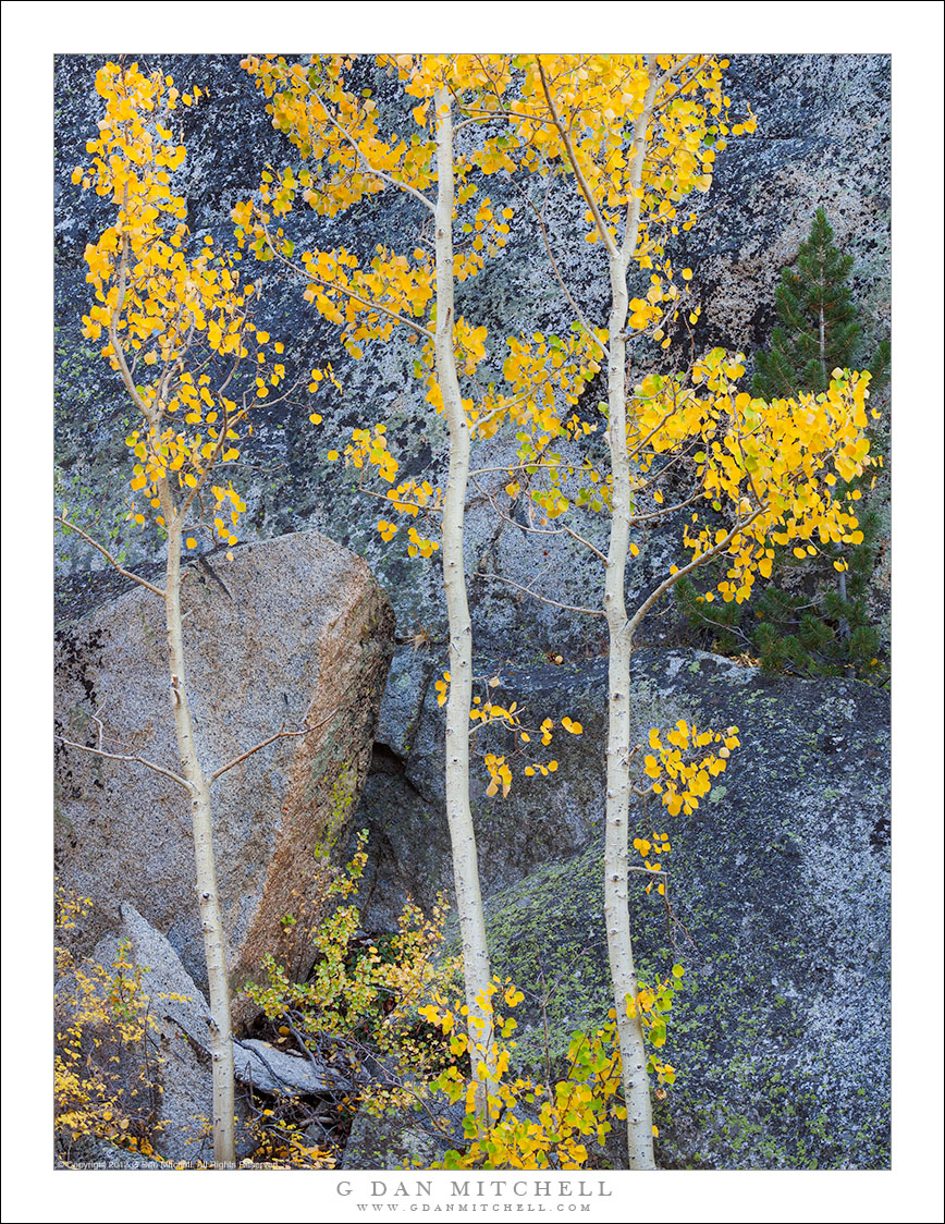 Three Aspens, Granite