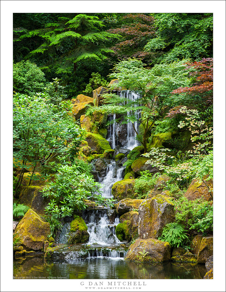 Waterfall and Pond