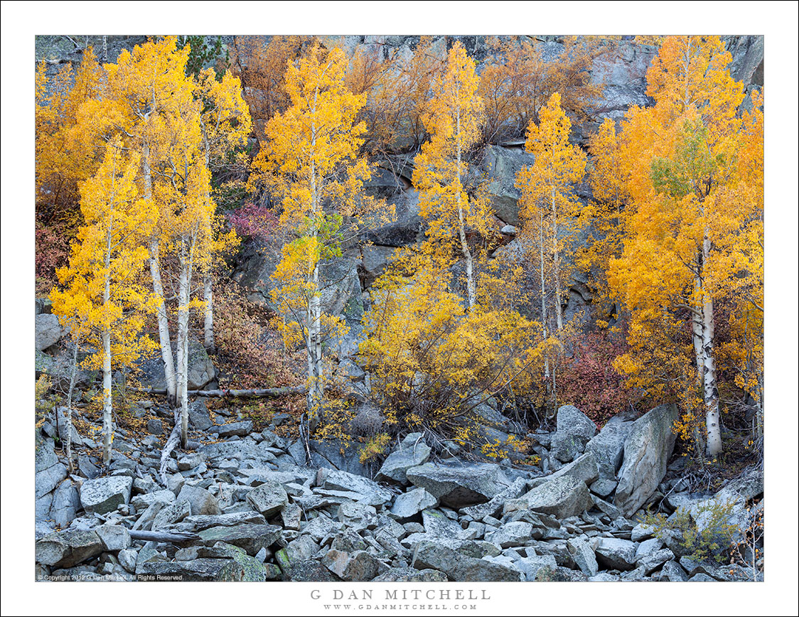 Autumn Aspens, Broken Boulders