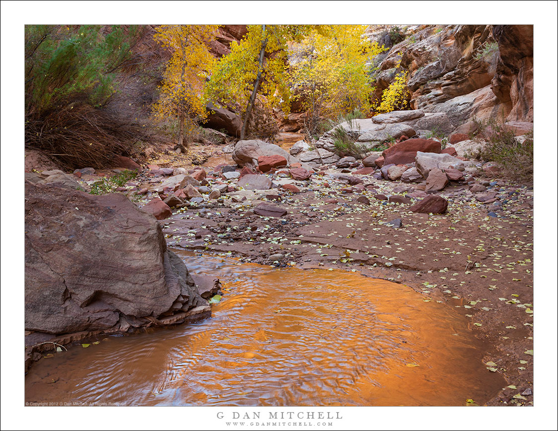 Creek, Canyon Light